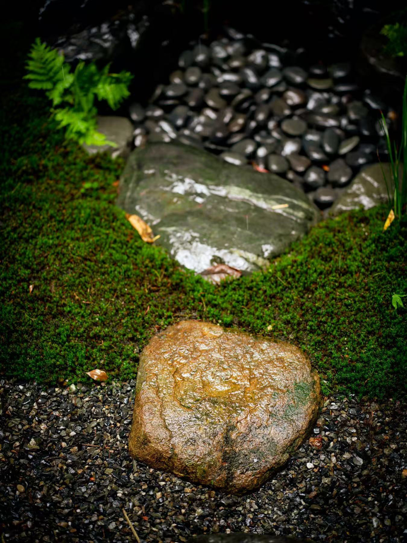 Garden detail at Karasuma Ohori Machiya